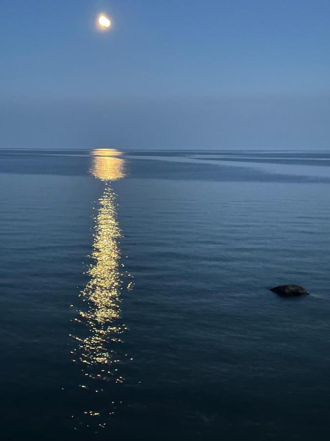 The Wind In The Willows - Luxury Lakefront Oasis Bed & Breakfast Cobourg Dış mekan fotoğraf